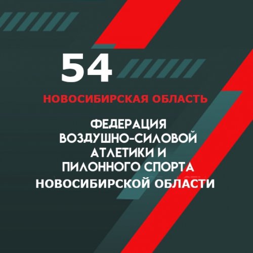 Логотип организации РФСОО ВСА и ПС Новосибирской области